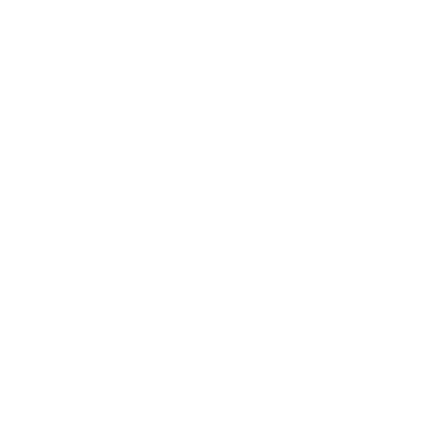 Icon Gewicht